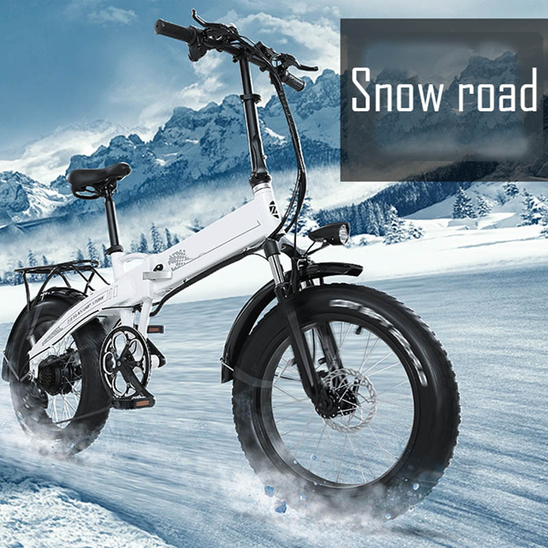 Giantplus-Lithium Battery Power Bm5 terrain electric bike For Sale-27
